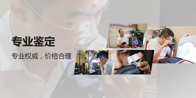 鉴定团队